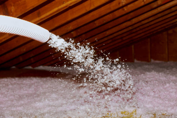 Trusted Kaneohe, HI Insulation Contractor Experts