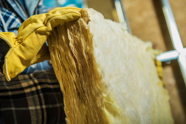Best Spray Foam Insulation in Kaneohe, HI