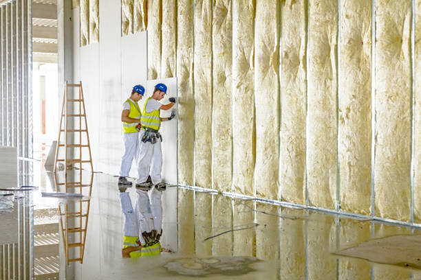 Best Spray Foam Insulation in Kaneohe, HI